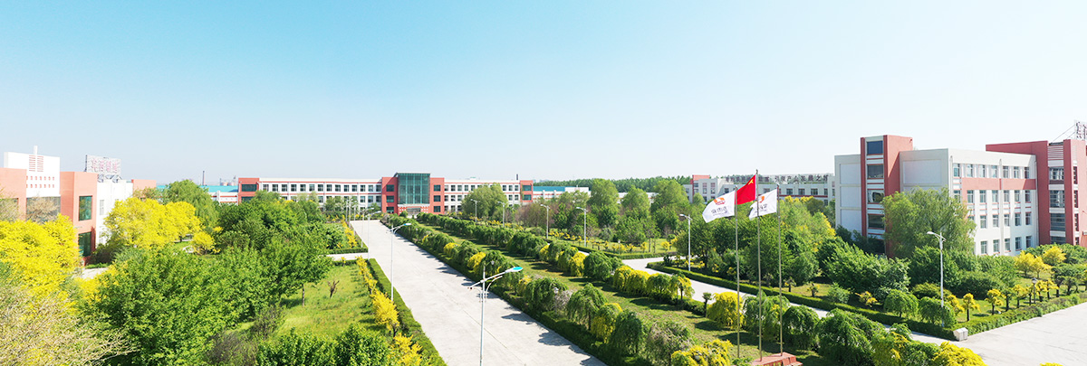 1742347963464614.jpg buu2.jpg